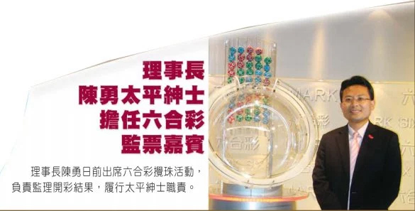今晚香港特馬開獎，2024年最新預(yù)測與分析
