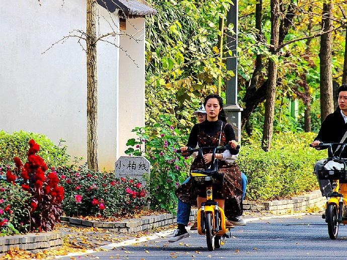 長(zhǎng)興公交車路線最新動(dòng)態(tài)與改進(jìn)，長(zhǎng)興公交車路線最新動(dòng)態(tài)及改進(jìn)概覽