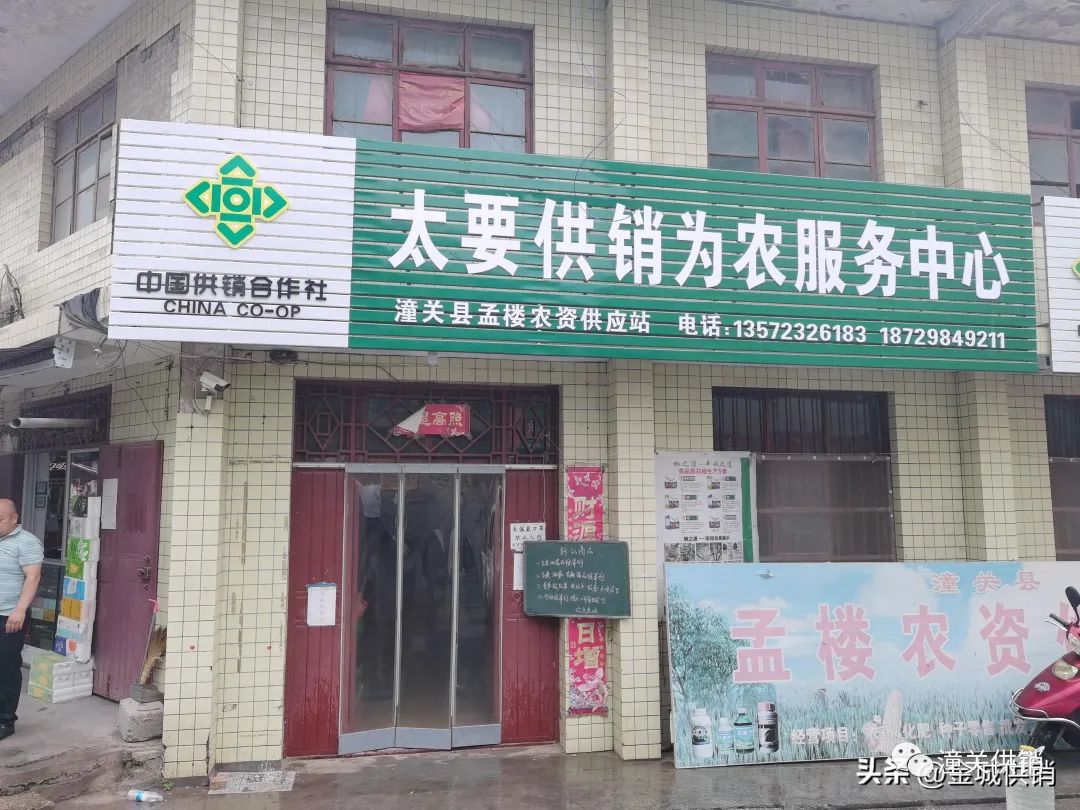 歷史沿革與未來展望