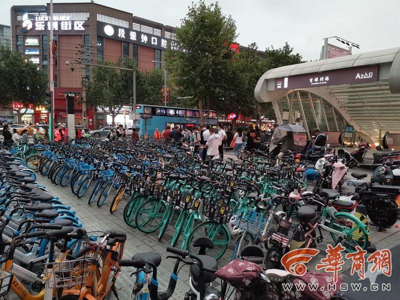 電動自行車圍困大學校園新現(xiàn)象及其影響，電動自行車現(xiàn)象，大學校園的新挑戰(zhàn)與影響