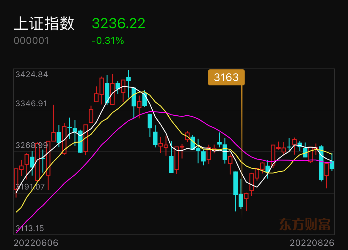 上證指數(shù)急漲急跌行情，市場(chǎng)波動(dòng)下的投資挑戰(zhàn)與機(jī)遇，上證指數(shù)波動(dòng)下的投資挑戰(zhàn)與機(jī)遇，急漲急跌行情分析