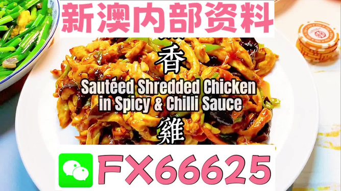 新奧天天精準資料大全，深度解析與實際應用，新奧天天精準資料大全，深度解析及實際應用指南