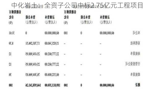 中化二級子公司全部名單及其業(yè)務(wù)概覽，中化二級子公司全名單及業(yè)務(wù)概覽解析