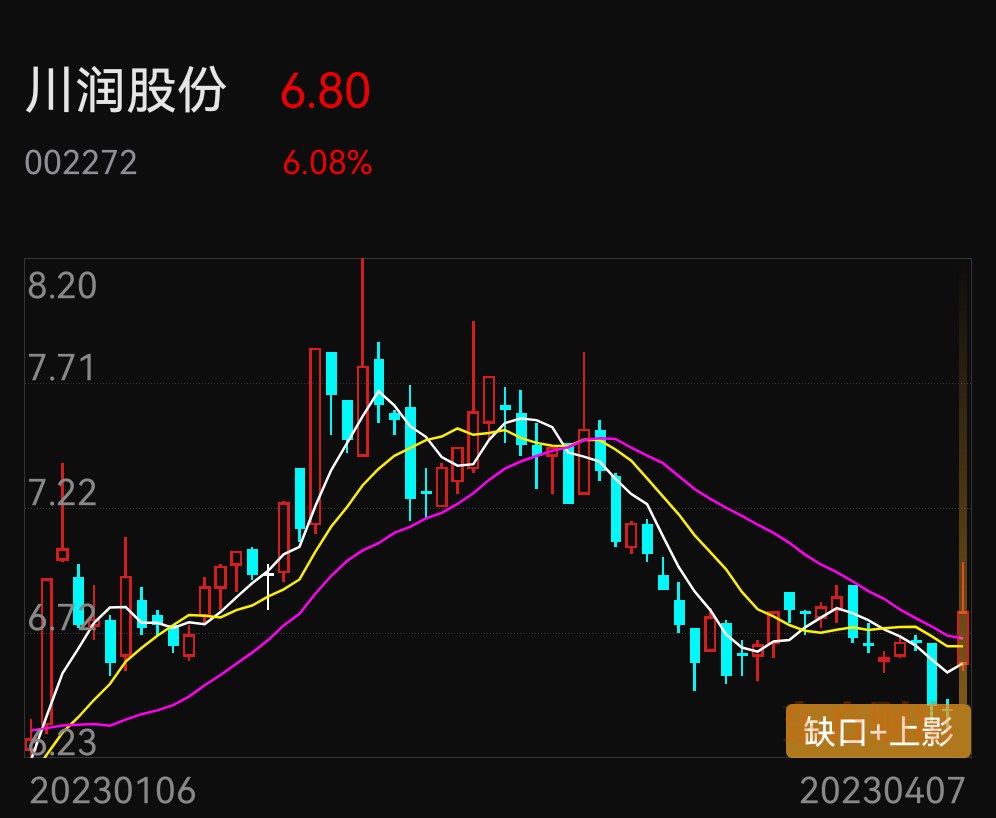 川潤股份股票深度解析，表現(xiàn)如何？，川潤股份股票深度解析，表現(xiàn)及前景展望