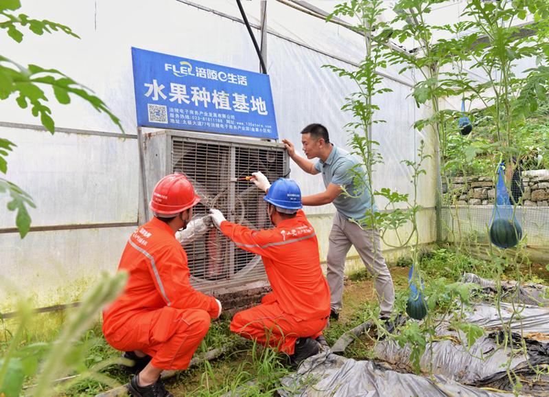 涪陵電力投資價值深度解析，涪陵電力投資價值全面解析