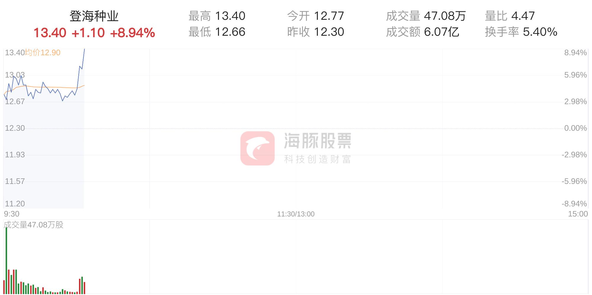 登海種業(yè)發(fā)行價(jià)揭秘，市場走勢與前景展望，登海種業(yè)發(fā)行價(jià)揭秘，市場走勢及前景展望分析