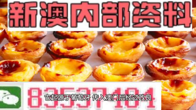 澳門正版資料免費最新資料大全：全面解析澳門最新動態(tài)
