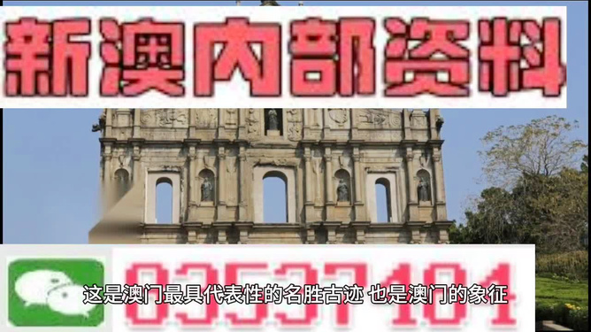 澳門天天免費精準大全——揭示違法犯罪問題，澳門違法犯罪問題揭秘，天天免費精準大全曝光