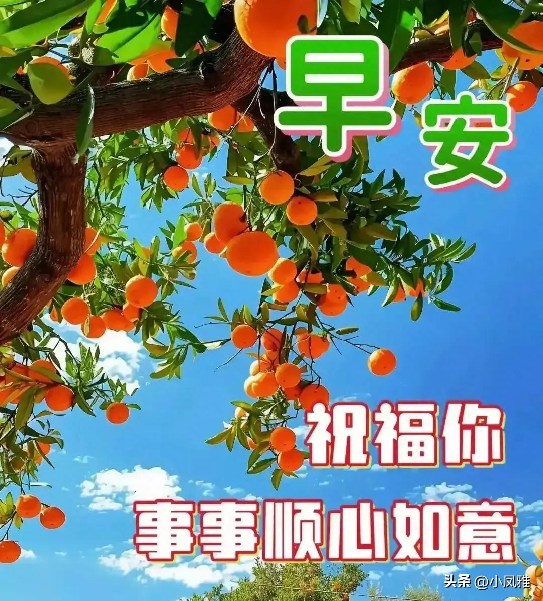2024天天彩正版資料大全——探索彩票世界的指南，彩票世界探索指南，2024天天彩正版資料大全