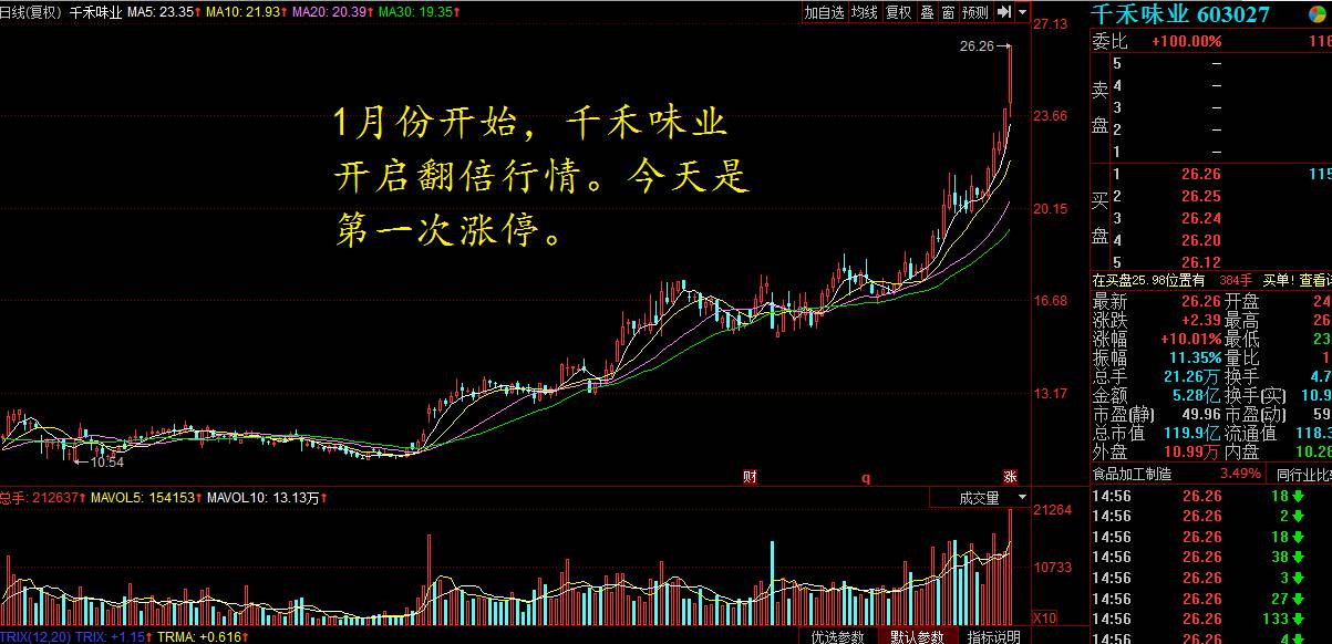 創(chuàng)歷史新高的股票，探尋市場(chǎng)新星，探尋創(chuàng)歷史新高的市場(chǎng)新星股票