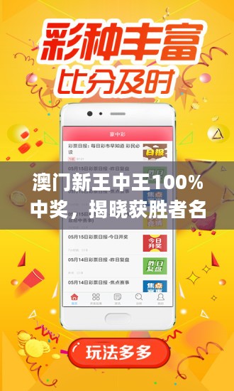 新澳門王中王期期中的奧秘與探索，澳門王中王期期奧秘揭秘與深度探索