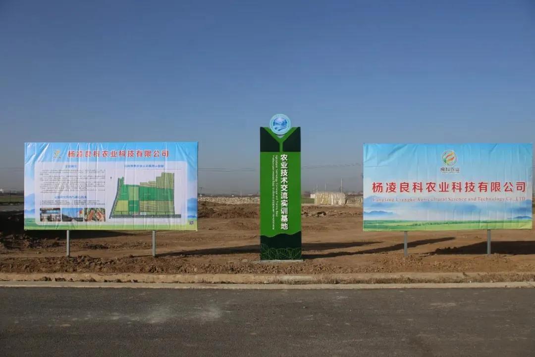登海種業(yè)最新公告解析，登海種業(yè)最新公告深度解讀