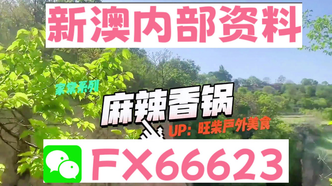 新澳精準資料免費提供，助力個人與企業(yè)的成功之路，新澳精準資料免費分享，助力個人與企業(yè)發(fā)展之路