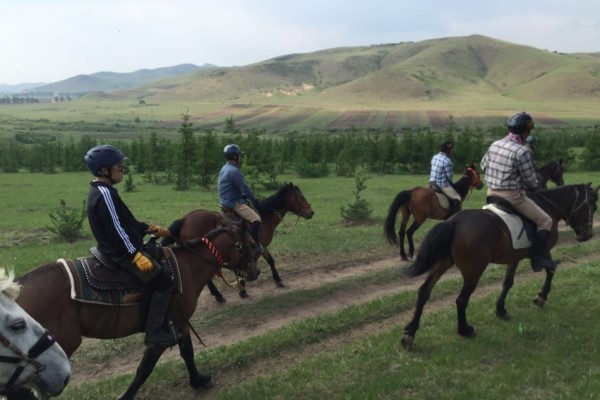 探索澳門特馬，四不像的魅力與未來展望，澳門特馬與四不像的魅力，探索與未來展望