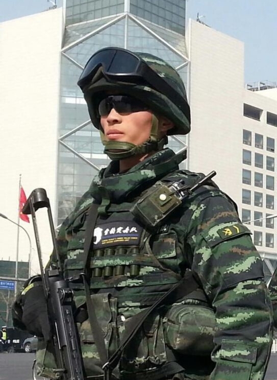 武警雪豹突擊隊，英勇無畏，守護安寧的先鋒力量，武警雪豹突擊隊，先鋒力量的英勇守護，安寧的守護者
