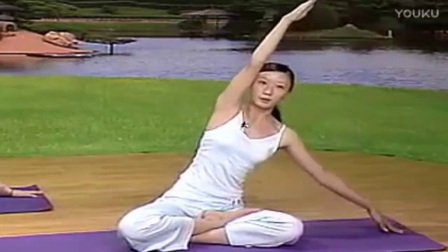 簡單瑜伽動作自學(xué)視頻，引領(lǐng)你步入瑜伽世界的指南，瑜伽入門指南，自學(xué)視頻助你輕松掌握基礎(chǔ)瑜伽動作