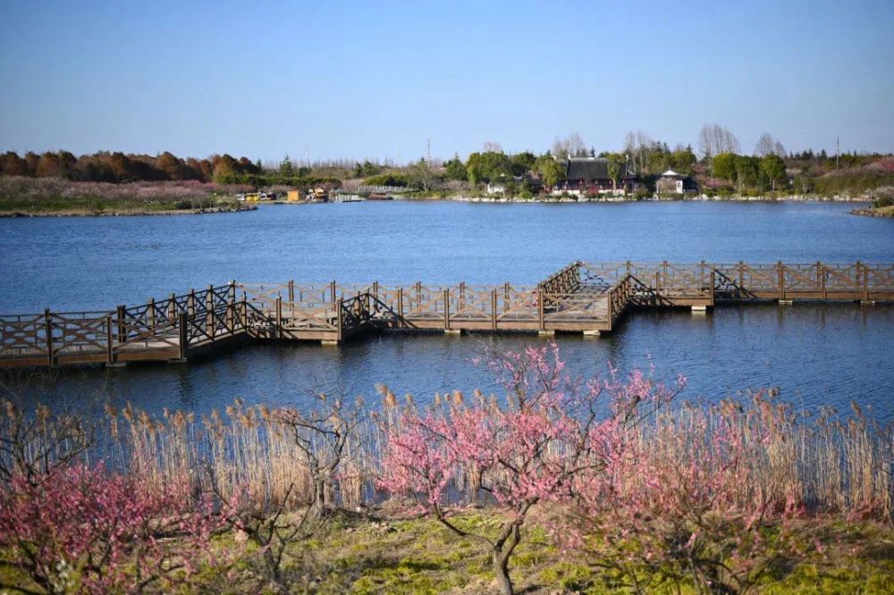 海灣森林公園，自然與文化的完美融合，海灣森林公園，自然與文化交融的勝地