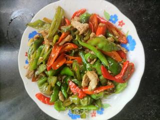辣椒炒肉的做法，一道美味佳肴的烹飪詳解，辣椒炒肉，美味佳肴的烹飪詳解