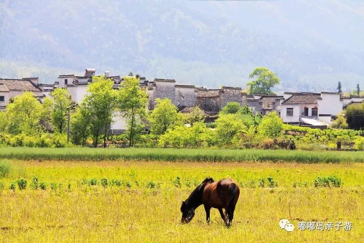 十一五日游旅游最佳去處，探尋中國最美的風景線，中國最美風景線探尋，十一最佳十五日游旅游去處