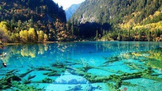 成都旅游團(tuán)九寨溝三日游報(bào)價(jià)詳解，成都旅游團(tuán)九寨溝三日游詳細(xì)報(bào)價(jià)攻略