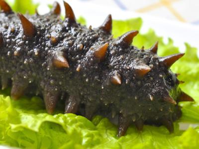 海參的美味做法，簡(jiǎn)單又好吃，海參簡(jiǎn)單美味做法分享