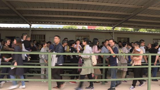 自然與文化交融