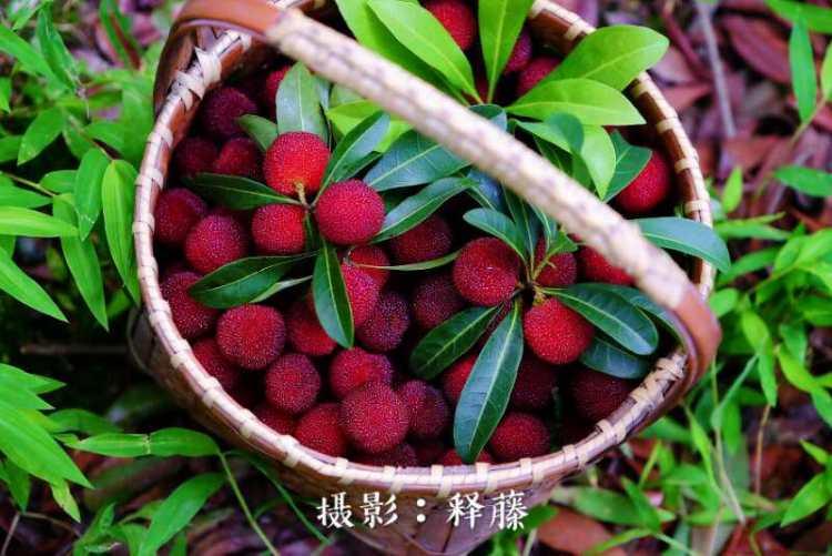 仙居旅游景點(diǎn)大全，探秘仙境之美，仙居探秘，絕美旅游景點(diǎn)大全