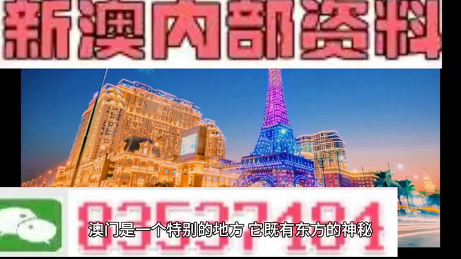探索澳門錢莊，解讀新澳免費資料背后的故事，澳門錢莊揭秘，解讀新澳免費資料背后的故事