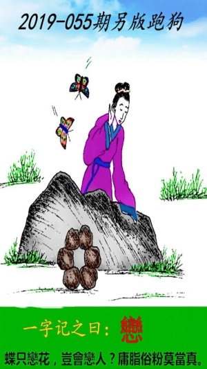探索精準跑狗圖，數(shù)字組合的魅力與跑狗圖的奧秘，精準跑狗圖揭秘，數(shù)字組合的魅力和奧秘探索