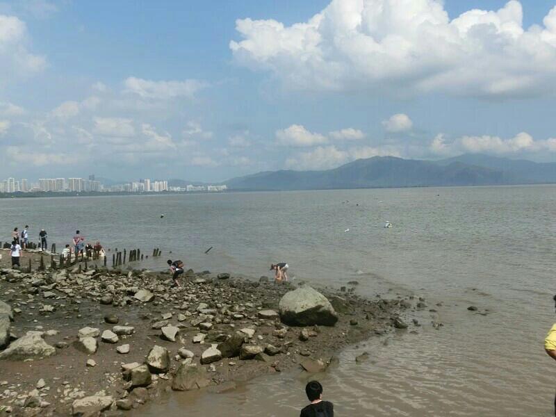 深圳紅樹林一日游攻略，深圳紅樹林一日游精彩攻略