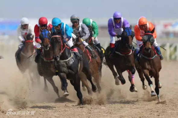 澳門特馬今晚開獎(jiǎng)結(jié)果及其背后的故事，澳門特馬今晚開獎(jiǎng)結(jié)果揭秘，背后的故事引人關(guān)注