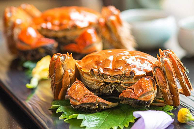 大閘蟹，美味佳肴與生態(tài)價值的完美結(jié)合，大閘蟹，美味與生態(tài)價值的雙重盛宴