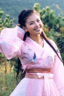 胡軍版天龍八部演員表深度解析，胡軍版天龍八部演員陣容深度解析