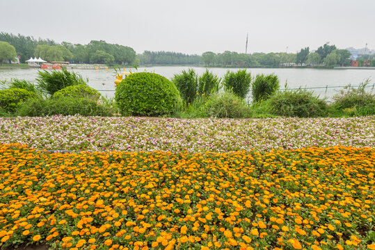 北京朝陽公園景點(diǎn)介紹，北京朝陽公園游玩指南，熱門景點(diǎn)全解析