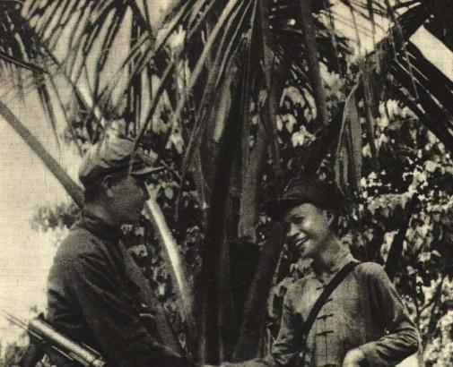 海南島戰(zhàn)役真實(shí)傷亡人數(shù)，歷史數(shù)據(jù)的深度解析，海南島戰(zhàn)役真實(shí)傷亡人數(shù)深度解析，歷史數(shù)據(jù)的探索與揭秘