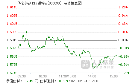 基金002345，深度解析與前景展望，基金002345深度解析與未來前景展望