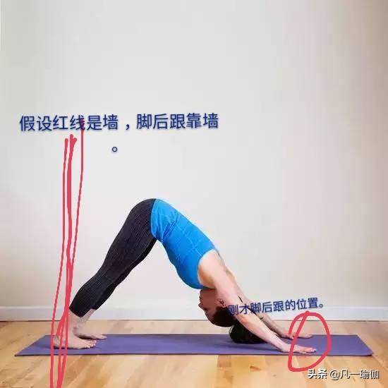 基礎(chǔ)瑜伽教程視頻，引領(lǐng)你步入瑜伽世界的指南，基礎(chǔ)瑜伽教程視頻，引領(lǐng)入門，步入瑜伽世界的必備指南
