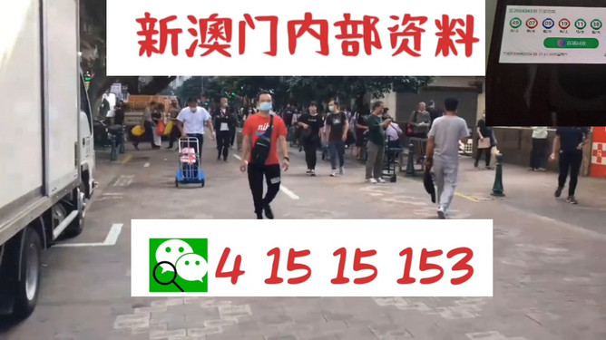澳門(mén)管家婆，揭秘?cái)?shù)字背后的故事與魅力，澳門(mén)管家婆，數(shù)字背后的故事與魅力揭秘