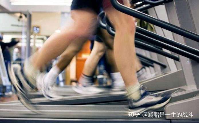 有氧運(yùn)動(dòng)會(huì)掉肌肉嗎，真相解析，有氧運(yùn)動(dòng)是否導(dǎo)致肌肉流失？真相揭秘