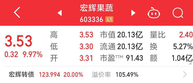 宏輝果蔬股吧，探索603336背后的故事，宏輝果蔬股吧深度解析，揭秘背后的故事與機遇（股票代碼，603336）