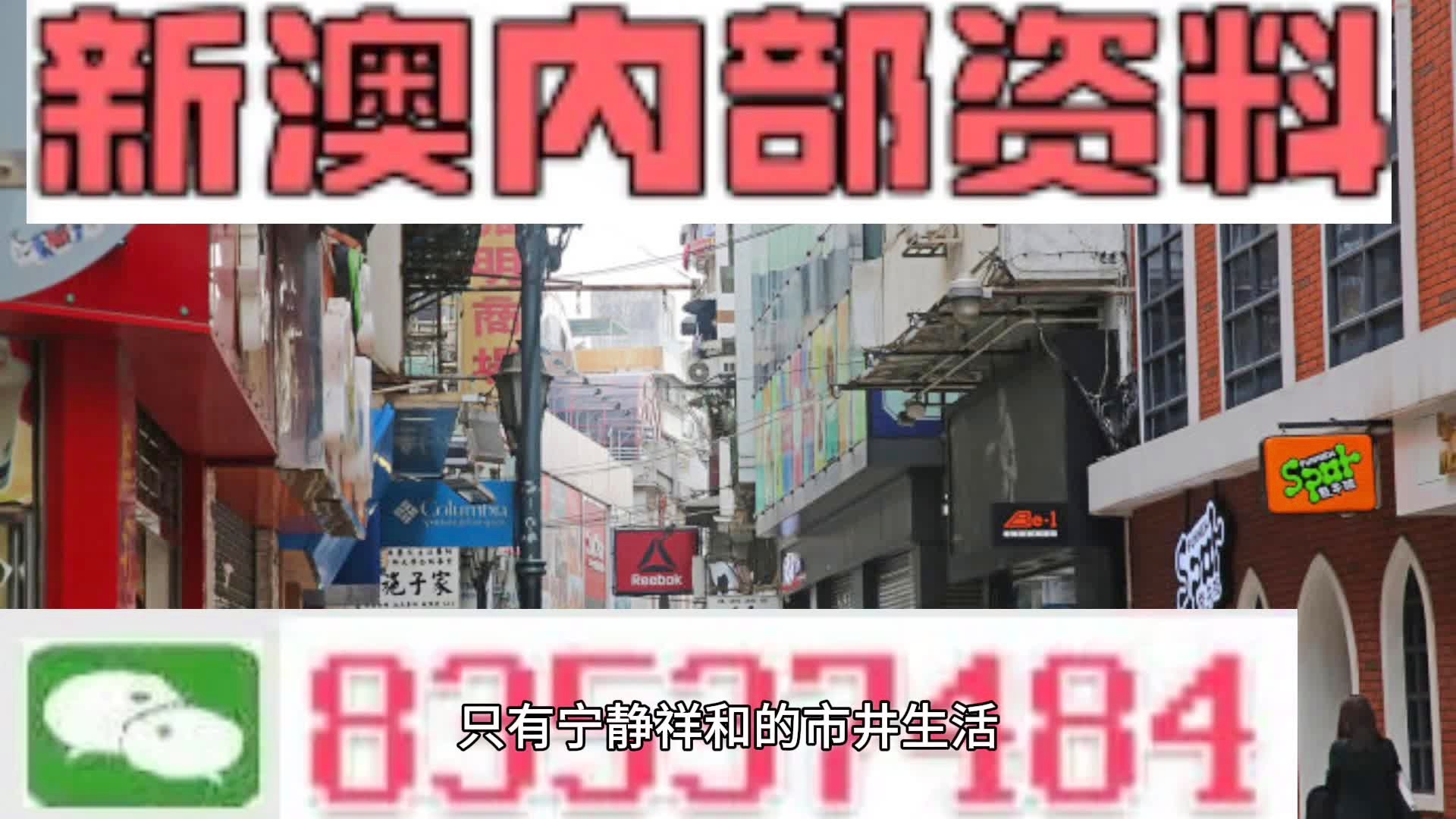 新澳全年免費資料大全，探索與獲取信息的寶庫，新澳全年免費資料寶庫，探索與獲取信息的指南