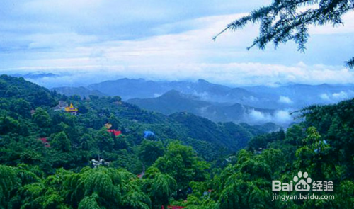 莫干山旅游，探索自然之美，領(lǐng)略人文韻味，莫干山之旅，自然人文的絕美交融探索之旅
