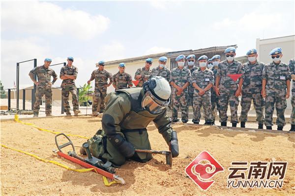 維和步兵營(yíng)免費(fèi)觀看全集電視劇，熱血軍旅展現(xiàn)英雄本色，維和步兵營(yíng)，熱血軍旅展現(xiàn)英雄本色，全集免費(fèi)觀看