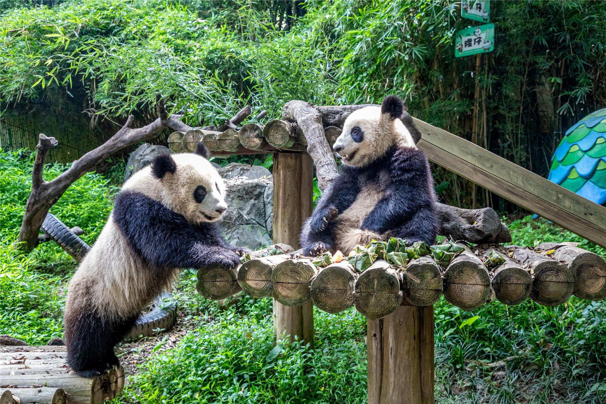 暑假親子旅游景點(diǎn)推薦——打造美好家庭回憶的理想之地，暑假親子游必去景點(diǎn)推薦，打造美好家庭回憶的理想目的地