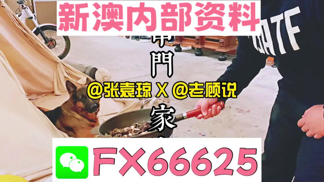 新澳門精準(zhǔn)資料大全與管家婆料，探索與解析，澳門精準(zhǔn)資料大全與管家婆料，深度探索與解析