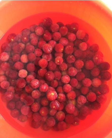 楊梅酒的制作方法，楊梅酒制作教程