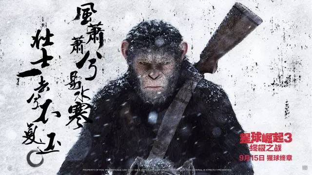 國(guó)遠(yuǎn)四格學(xué)3義烈阿，探索與解讀，國(guó)遠(yuǎn)四格學(xué)3義烈阿，深度探索與解讀