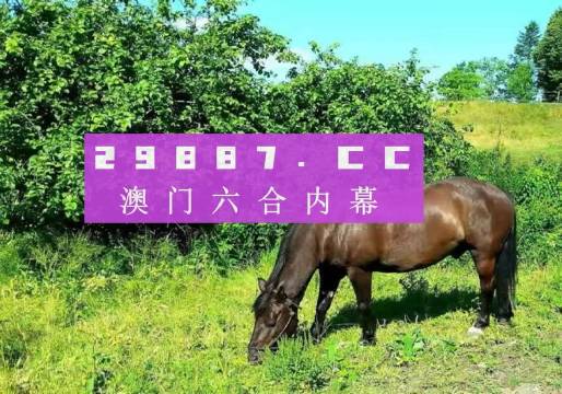澳門今晚必開一肖一碼新聞，揭秘彩票背后的故事與預(yù)測依據(jù)，澳門彩票揭秘，今晚必開一肖一碼新聞與預(yù)測依據(jù)探究