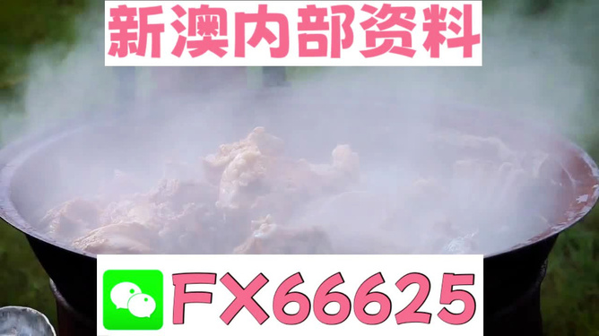 新澳全年免費(fèi)資料大全，探索與收獲，新澳全年免費(fèi)資料大全，探索之旅與收獲的時(shí)刻