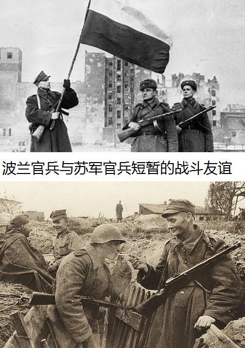 波蘭第1集團軍，歷史、現(xiàn)狀與前瞻，波蘭第1集團軍，歷史沿革、現(xiàn)狀解析與未來前瞻